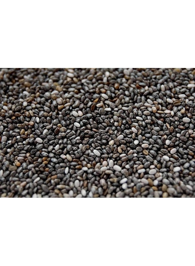 U360 Organic Chia Seeds | Omega 3 and Fibe Seeds for Weight Management | Rich in Calcium, Protein & Fibre U360_Chia-Seeds_G 200g - Image 3