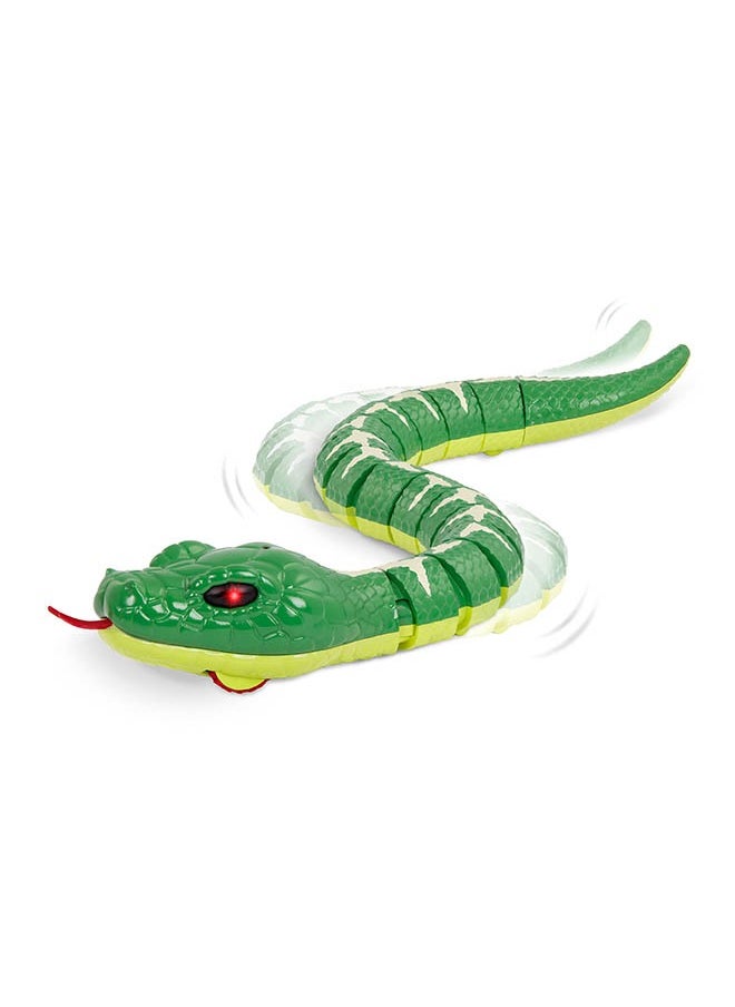Terra by Battat Rainbow Boa Emareld Remote Control Snake with Light-Up Eyes, Electronic Animal Toys and Playsets for Kids Aged 6+ Years  - Image 2