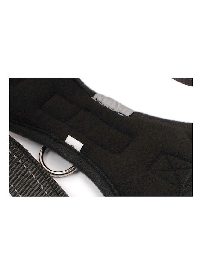 NIBEMINENT Pet Chest Harness Red/Black - Image 4