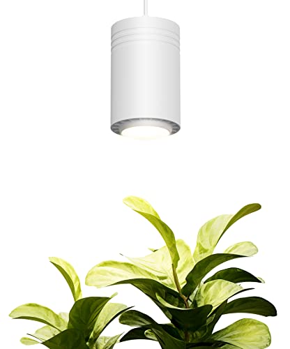 Aspect World's First Decor Grow Light - Large White Luxury LED Grow Light – for Medium and Large Plants - Image 1