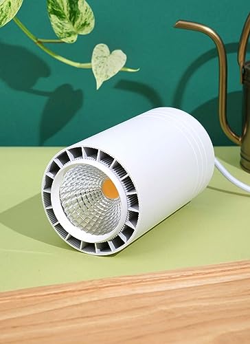 Aspect World's First Decor Grow Light - Large White Luxury LED Grow Light – for Medium and Large Plants - Image 3