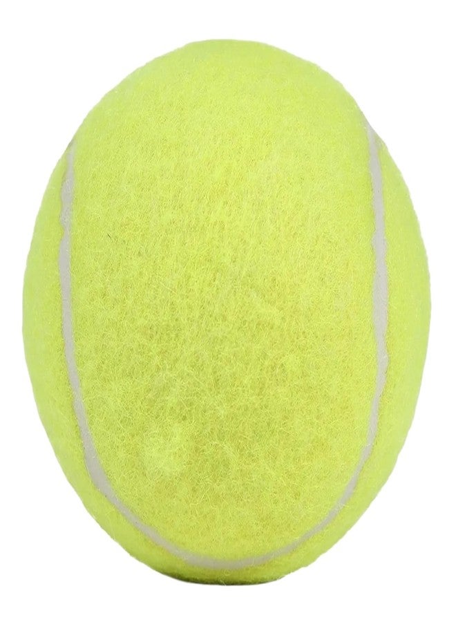 Rai & Gen Practice Ball Combo (Pack of 4) 2 Tennis Diffrent Colour 1 Rubber 1 Plastic Under 50 Gram for Gully & Kids Practice (4, 2 Tennis 1 Rubber 1 Plastic Cricket Ball) - Image 2
