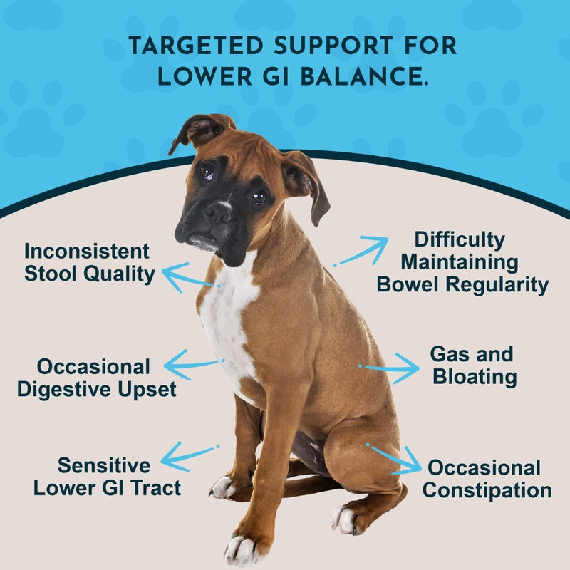 Animal Essentials Colon Rescue - Dog Stool Softener, Organic Slippery Elm Bark, Fast Acting Anti Diarrhea Liquid Drops for Dogs & Cats, Natural Constipation Relief Supplement for Pets - 2 fl oz - Image 2