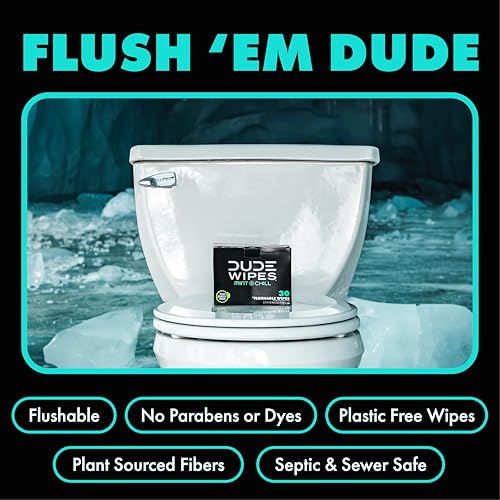 DUDE Wipes On-The-Go Flushable Wipes - 1 Pack, 30 Count - Mint Chill Extra-Large Individually Wrapped - with Eucalyptus & Tea Tree Oil - Septic and Sewer Safe - Image 3