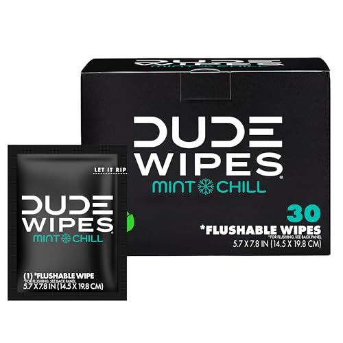 DUDE Wipes On-The-Go Flushable Wipes - 1 Pack, 30 Count - Mint Chill Extra-Large Individually Wrapped - with Eucalyptus & Tea Tree Oil - Septic and Sewer Safe - Image 1