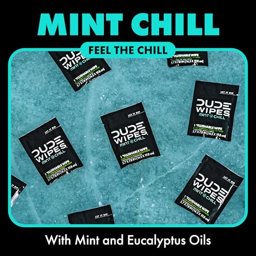 DUDE Wipes On-The-Go Flushable Wipes - 1 Pack, 30 Count - Mint Chill Extra-Large Individually Wrapped - with Eucalyptus & Tea Tree Oil - Septic and Sewer Safe - Image 4