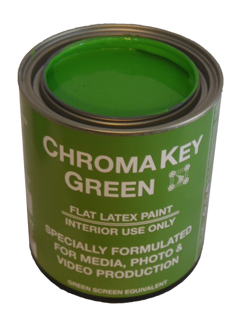 ChromaKey ChromaKey Video Paint 1 Quart Green Screen Equivalent  - Image 1