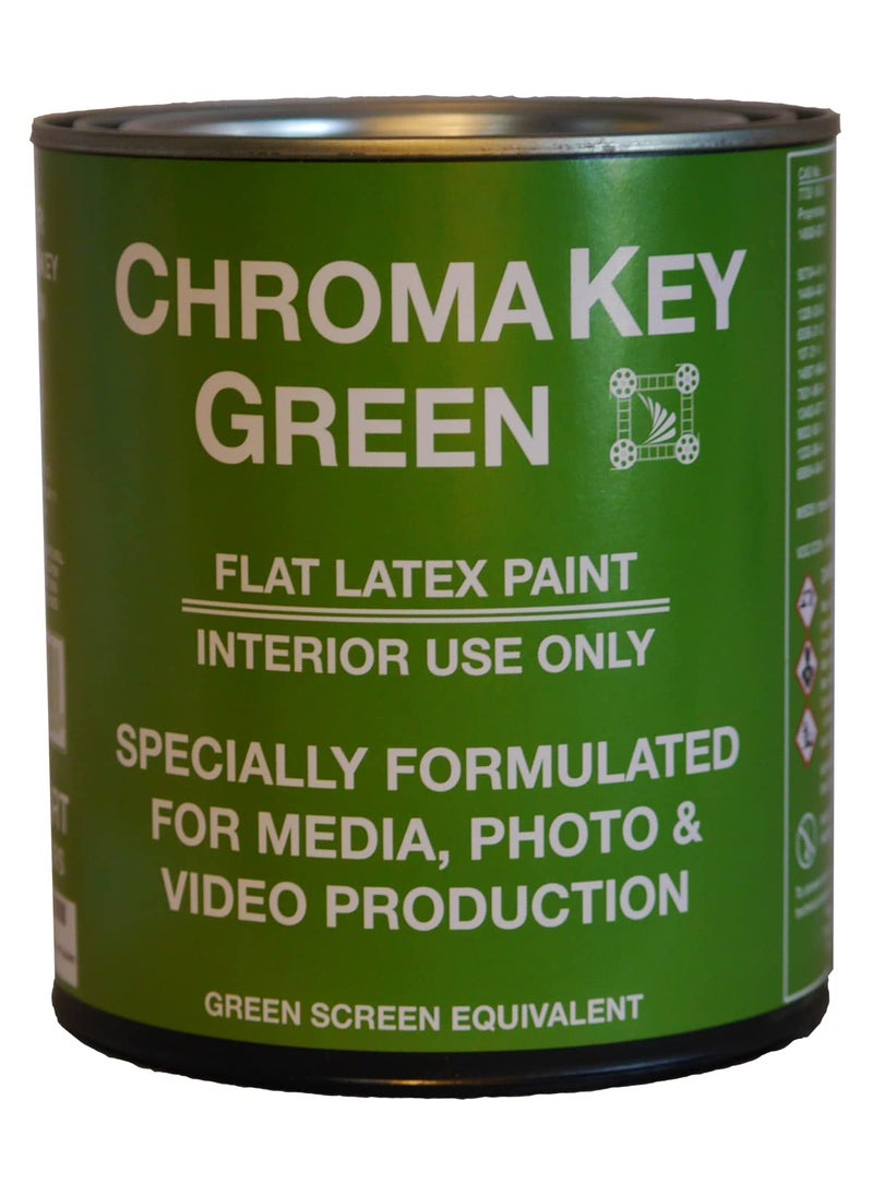 ChromaKey ChromaKey Video Paint 1 Quart Green Screen Equivalent  - Image 4