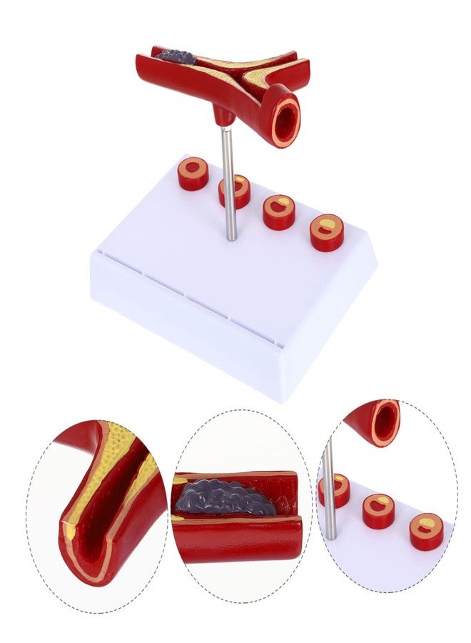 FELTECHELECTR Medical Model Anatomical Blood Vessel Cardiovascular Model for Educational Purposes Heart Model Construction for and Classroom Demonstrations - Image 5