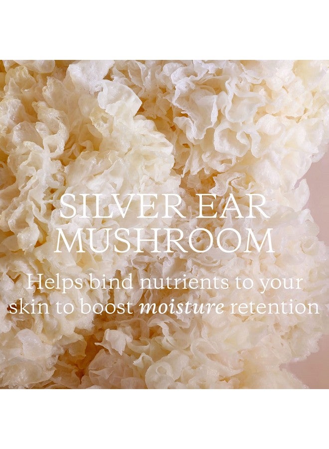 كورا أوجانيكس منظف زيت الفطر الحليبي ينظف ويغذي عضويًا معتمدًا ولم يتم الإساءة إلى الحيوانات لتصنيعه، 5.07 أونصة - Image 4