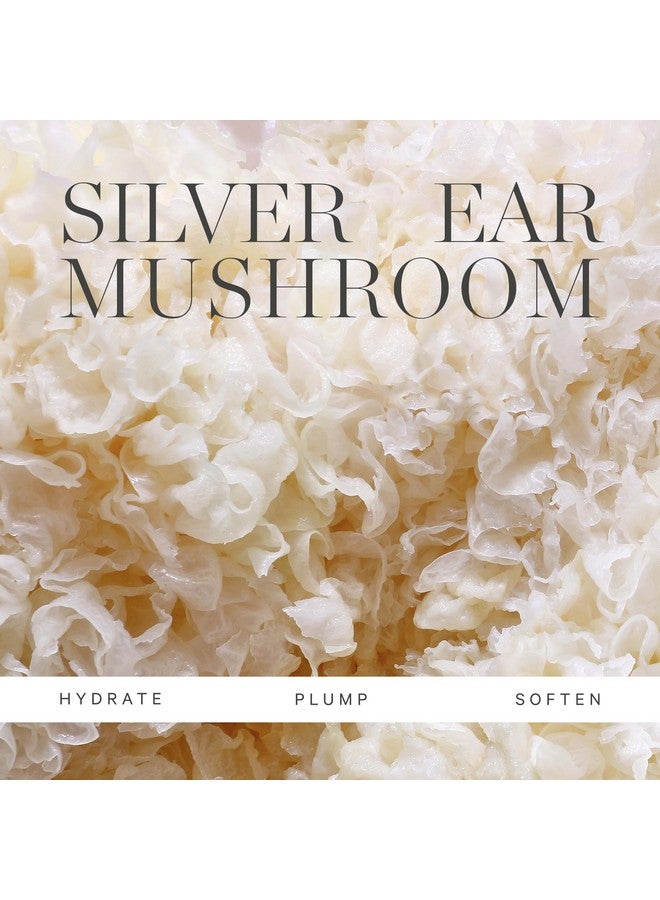 كورا أوجانيكس منظف زيت الفطر الحليبي ينظف ويغذي عضويًا معتمدًا ولم يتم الإساءة إلى الحيوانات لتصنيعه، 5.07 أونصة - Image 5