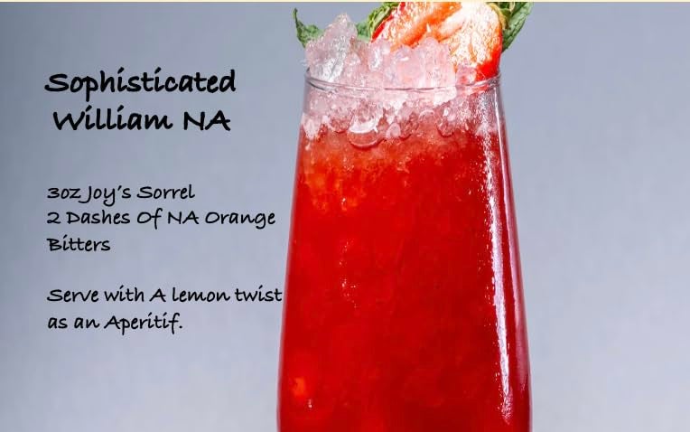 JOY'S ISLAND SPICE SORREL (HIBISCUS) ELIXIR |Botanical Caribbean-Inspired Cocktail Mixer| Notes of Hibiscus, Ginger, Cinnamon, Cloves & All Spice |Non-Alcoholic Hibiscus Drink| Award Winning | Mocktail or Cocktail Mixer| Mix with Hot water for Hibiscus Tea| Warm up for Non-Alcoholic Mulled Port Flavor| Zero Proof Drink - Image 4