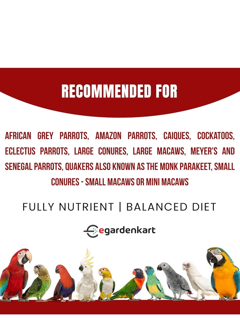 Egardenkart خلطة طعام الببغاء من Egardenkart® - طعام ببغاء مع مزيج فواكه | طعام طيور للببغاء | مزيج بذور طيور متكامل غذائياً | علف للماكاو، الكوكاتو وجميع الببغاوات - Image 5
