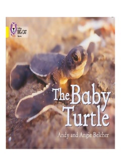 The Baby Turtle 
