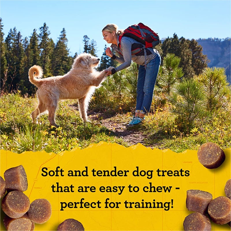 Zuke's Mini Naturals Dog Training Treats, Salmon Recipe, Soft Mini Dog Treats with Vitamins & Minerals, Made for All Breed Sizes (Salmon, 16 Ounce (Pack of 2) - Image 4