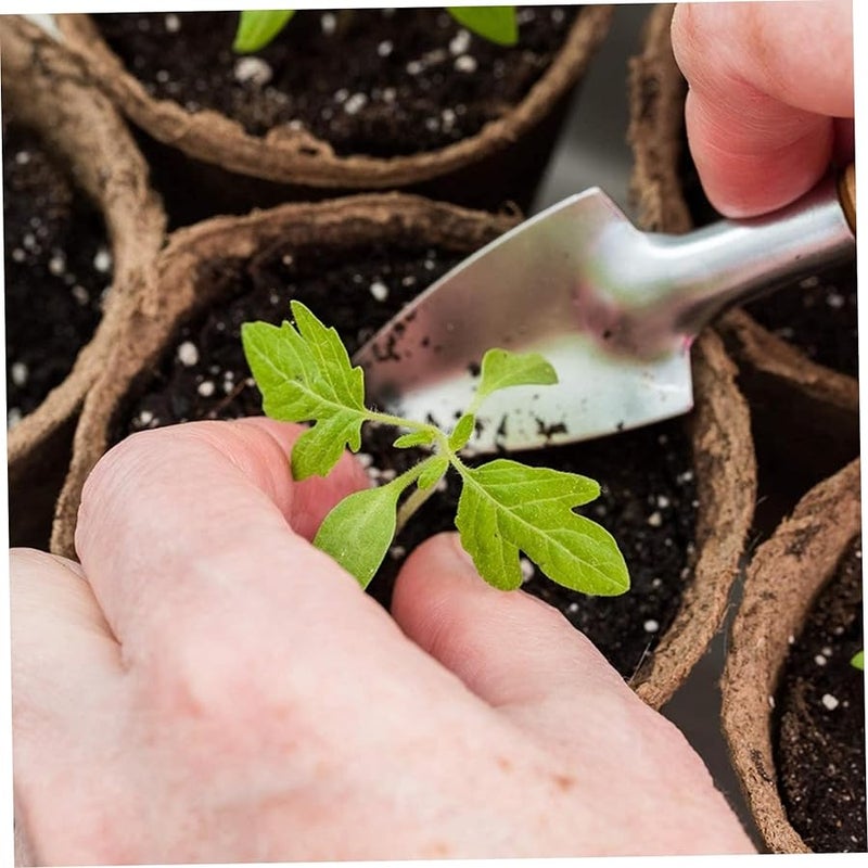 Biodegradable Paper Pulp Seedling Pots 50Pcs 3 Inch For Easy Transplanting Seed Starter - Image 4