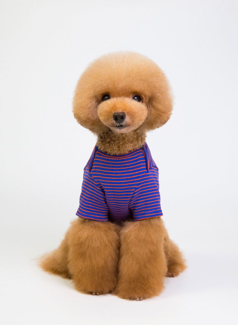 Loquat تي شيرت كاجوال للكلاب بنفسجي - Image 1