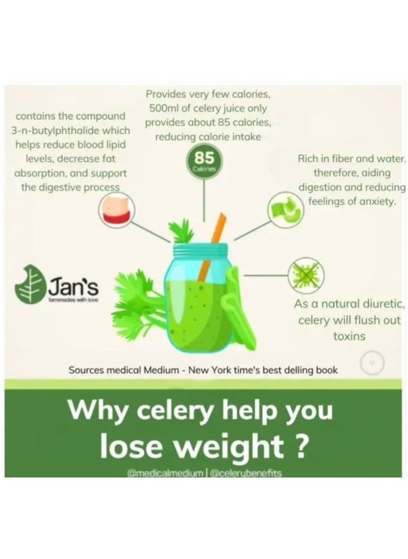 Jans - JAN’S Freeze Dried Celery Powder Detox & Weight Loss - Image 1