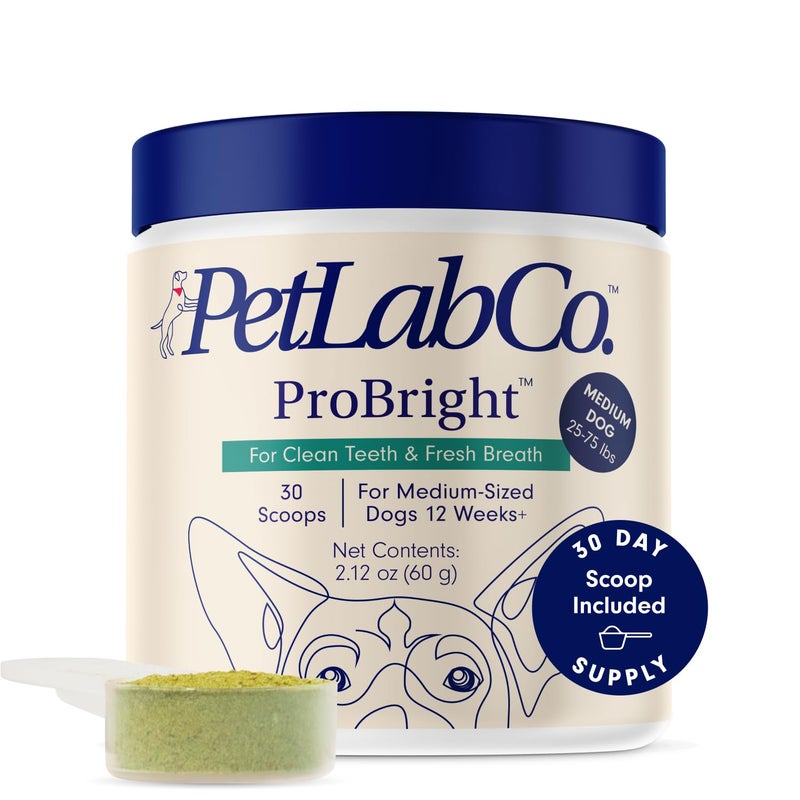 PetLab Co. ProBright Dental Powder - Dog Breath Freshener - Teeth Cleaning Made Easy â€“ Targets Tartar & Bad Breath - Formulated for Medium Size Dogs - Packaging May Vary - Image 1