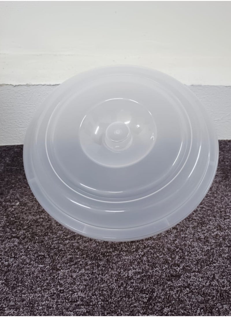 Generic Plastic Food Container with Lid, Clear 30x15  - Image 3