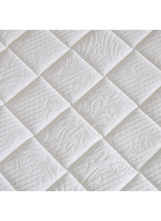 AN-FirmCore Pillow Top Rebonded Foam Firm Queen Mattress 150 x 200 x 24 cm - pzsku/ZE8FAE68A8F36C5768591Z/45/_/1729498601/8bef7dae-f4c5-4b43-aaa2-878696408093