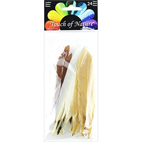 Touch of Nature 38297 24-Piece Mini Indian Feathers for Crafting, 3-Inch, Earth Mix - Image 1