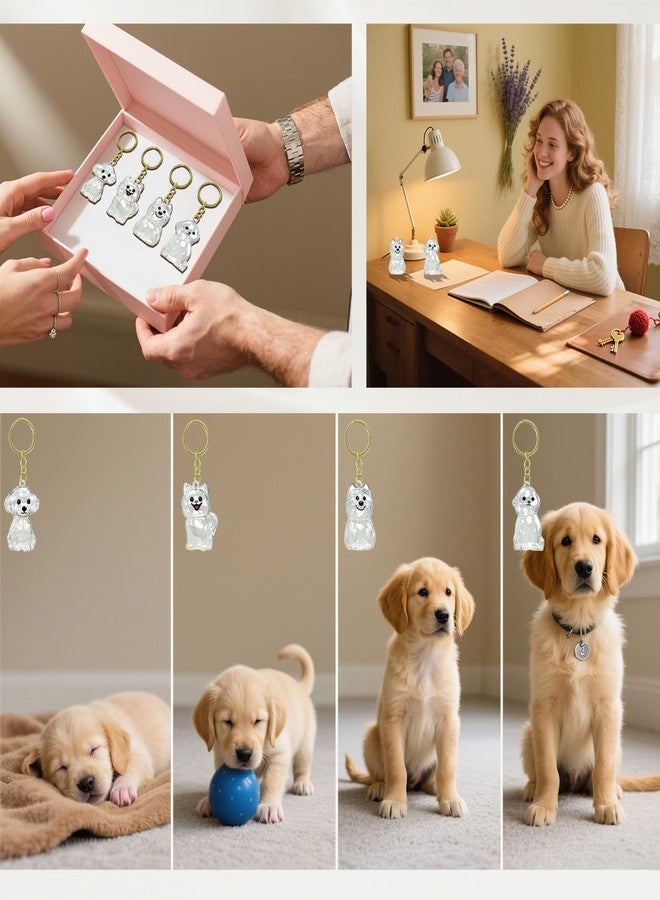 4 Pack Dog Hair Keychain | Set for pet - Keepsake Bottle to Preserve Fur | Memorial Gift for Pet, Pet Lover Accessory - Image 4