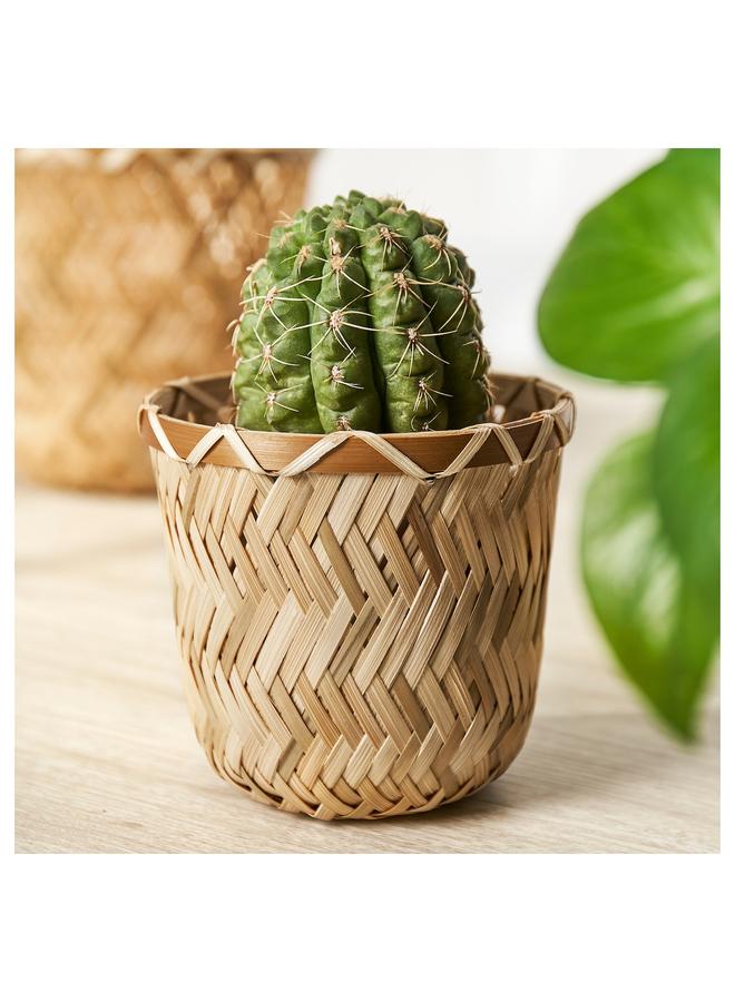 Zaboon Plant pot, handmade bamboo, 9 cm - Image 3