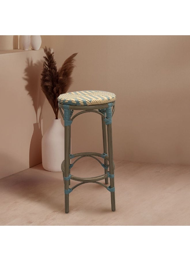 DANUBE HOME Aspero Bar Stool  - Image 4
