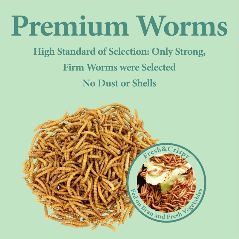 WORMSKING 2LB Dried Mealworms for Poultry, Wild Birds,Tasty Bird Food - Image 4