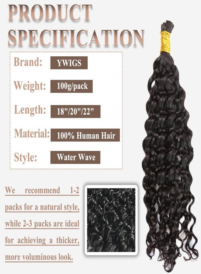 Y WIGS YWIGS Boho Hair for Braiding 100G Water Wave Bulk Human Hair for Braiding Virgin Human Braiding Hair NC 18inch - Image 2