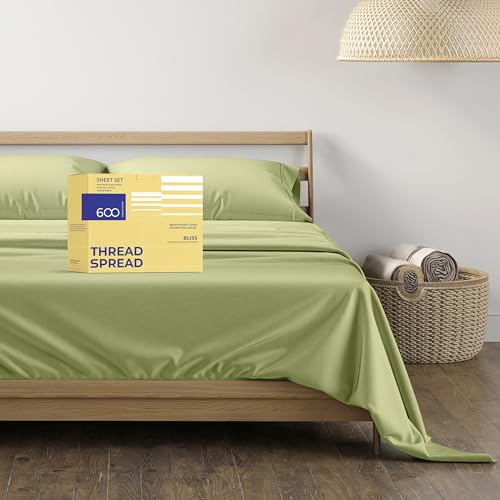 THREAD SPREAD 100 Egyptian Cotton Queen Size Sheet Set 4 PC 600 Thread Count Egyptian Cotton Sheets Set for Queen Size Bed Sage Green Soft Cooling Luxury Hotel 16 Deep Pocket Sateen Bedsheet