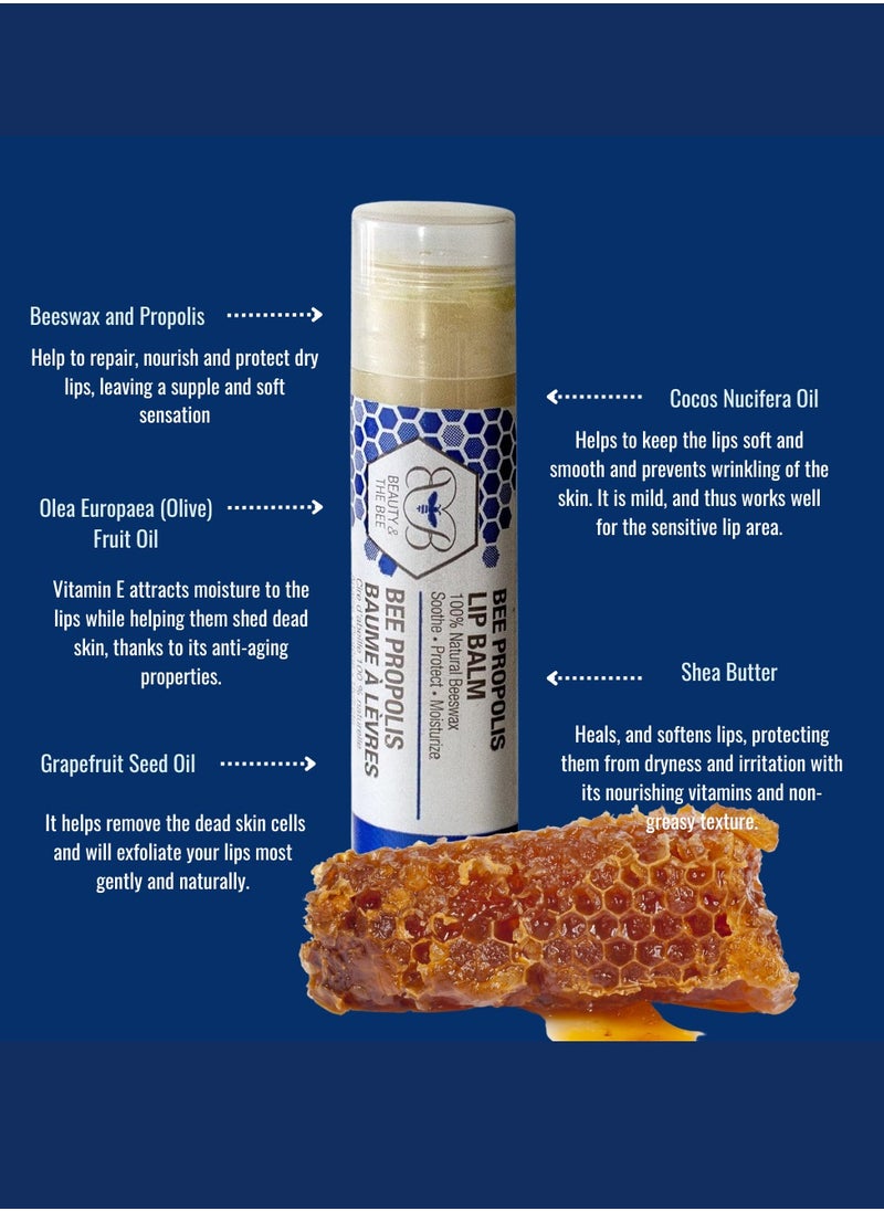 beauty and the bee Bee Propolis Natural Lip Balm – 5ml – Organic Moisturizing Lip Care For Dry Chapped Lips – Healing And Nourishing Formula With All-Natural Ingredients For Soft Smooth Lips  - Image 4