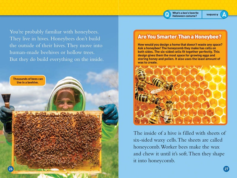 National Geographic Kids Animal Architects (L3) - Image 2