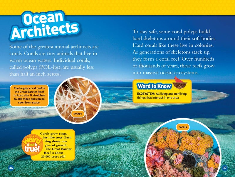 National Geographic Kids Animal Architects (L3) - Image 4
