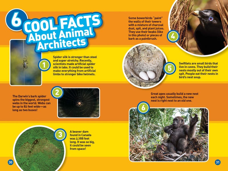 National Geographic Kids Animal Architects (L3) - Image 3