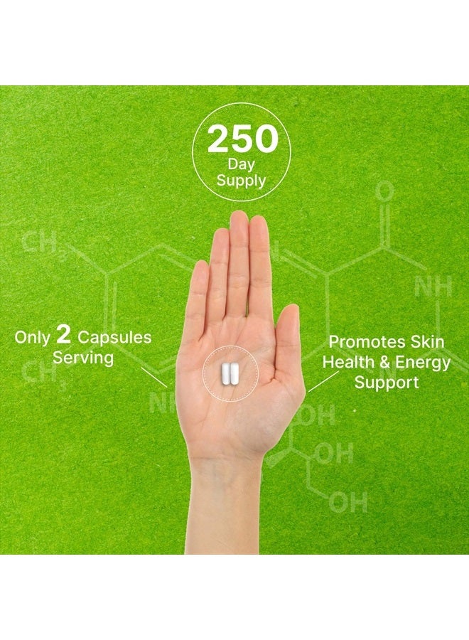 DEAL SUPPLEMENT Vitamin B3 Nicotinamide 1,000mg Per Serving – 500 Capsules, Flush Free Niacin, Essential B3 – Supports Healthy Skin & Energy Production – Non-GMO - Image 5