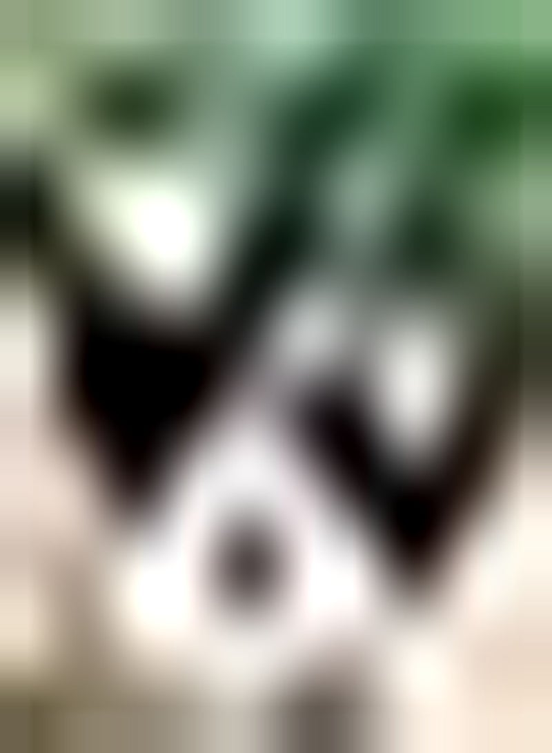 جي جوت 20 قطعة من بذور التفاح الأسود، تطعيم، إكثار، مستوى تغذية عالي، ظروف بيئية وأنواع هرمونية، تراكم السكر - Image 2