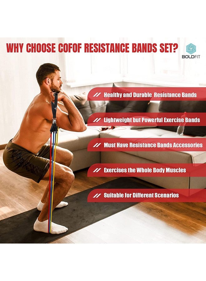 Boldfit Resistance Band Set with Handles, Portable Toning Tubes with Door Anchor & Foam Handles. Resistance Tube Kit with Bag and Ankle Straps Included. (11 Pieces Tube Set), Multicolor, L - Image 2