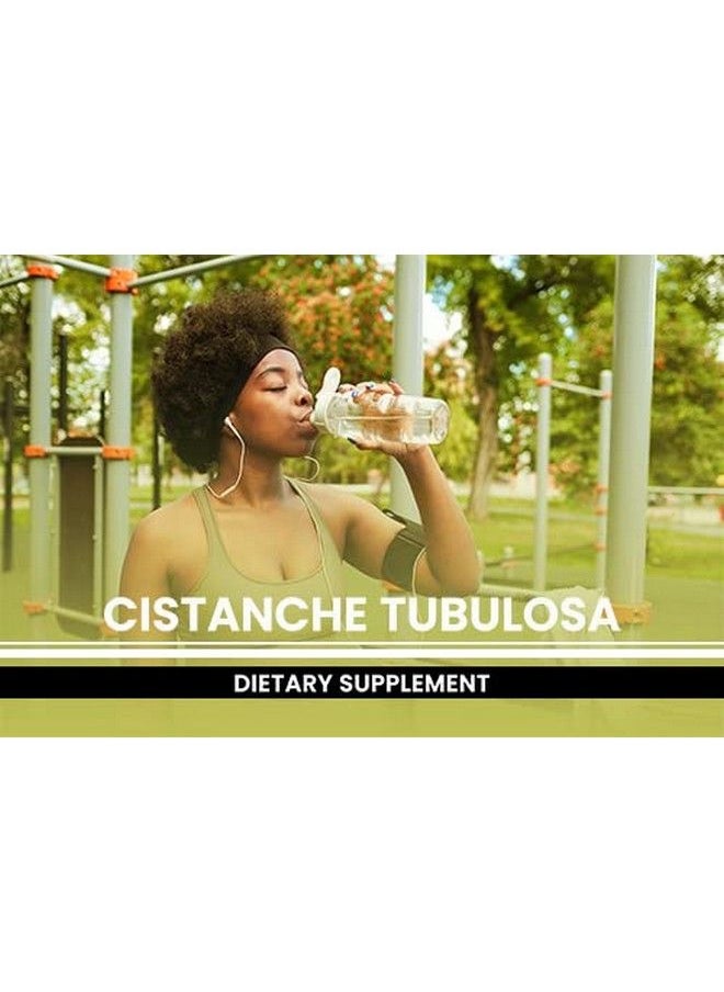 Cistanche Tubulosa (365 Capsules) No Magnesium Or Rice Fillers Always Pure Lab Verified - pzsku/ZE90CD51FC2DA008F14E4Z/45/_/1686980580/5fa2391d-d2a2-4e9b-94bd-3c51f35ded2d