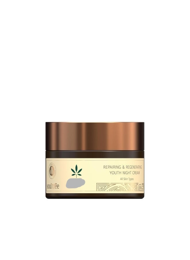 سول تري كريم الليل SoulTree لترميم وتجديد شباب البشرة | يُصلح علامات التقدم في السن | مناسب لجميع أنواع البشرة - 50 غرام - Image 1
