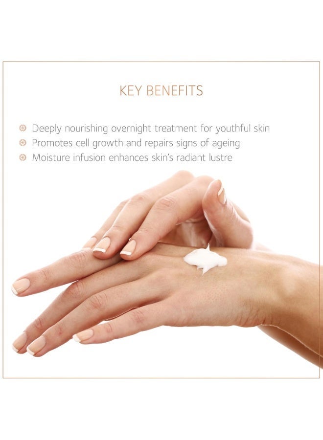 سول تري كريم الليل SoulTree لترميم وتجديد شباب البشرة | يُصلح علامات التقدم في السن | مناسب لجميع أنواع البشرة - 50 غرام - Image 2