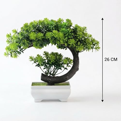 Dekorly Artificial Fake Bonsai Potted Japanese Pine Bookshelf Decor, Artificial Bonsai Plant for Office Tabletop Decor | Indoor Cabinet Decoration | C Shape Plant (Green-2D, Height : Upto 22CM) - Image 3