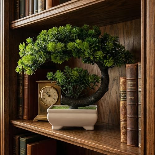 Dekorly Artificial Fake Bonsai Potted Japanese Pine Bookshelf Decor, Artificial Bonsai Plant for Office Tabletop Decor | Indoor Cabinet Decoration | C Shape Plant (Green-2D, Height : Upto 22CM) - Image 4