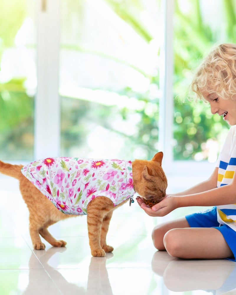 PET SHOW 4 Pack Paw Bone Printed Dog Clothes Shirts Soft Vest Lightweight Sleeveless Cats Doggies T-Shirts Puppies Tank Top Tee for Small Medium Dogs White Black Pink Blue (Medium, Pink for Girls) - Image 5