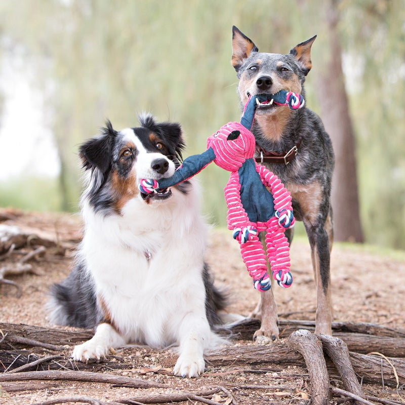 KONG Floppy Knots - Durable Noâ€‘Stuffing Squeaky Rope & Plush Dog Toy - for Teething, Playing (Elephant, Small/Medium) - Image 2