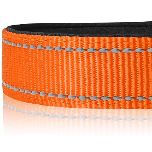 Joytale Reflective Dog Collar, Soft Neoprene Padded, Metal D-Ring, Nylon Pet Collar Adjustable for Large Dogs, Orange, L - Image 4