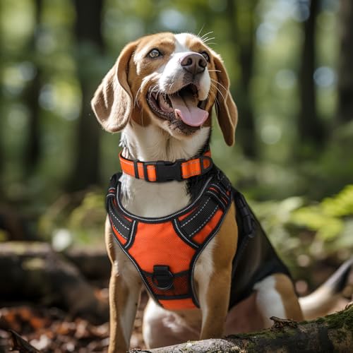 Joytale Reflective Dog Collar, Soft Neoprene Padded, Metal D-Ring, Nylon Pet Collar Adjustable for Large Dogs, Orange, L - Image 2