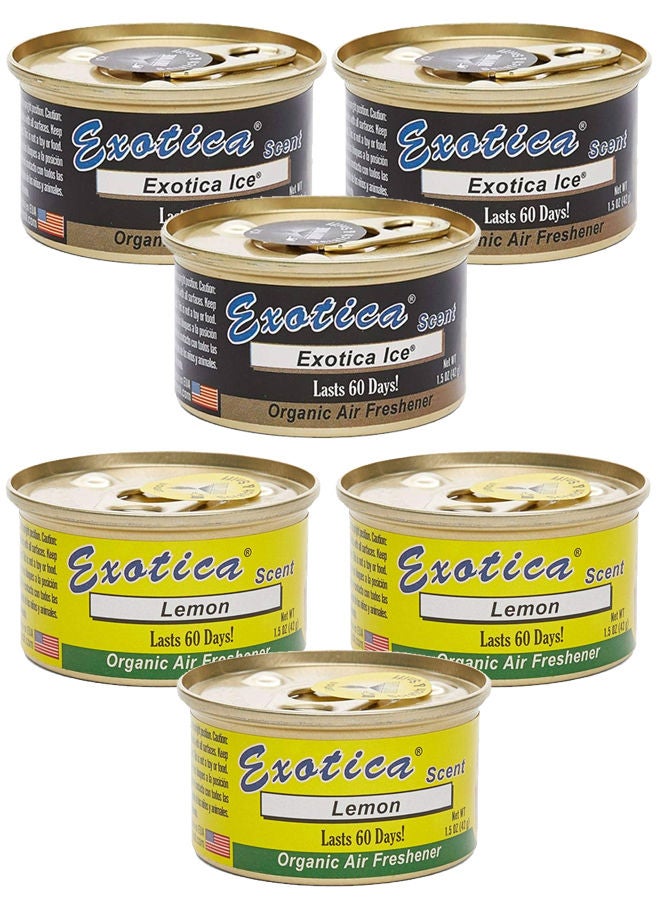 EXOTICA Organic Air Freshener Value Pack 6 pcs, Ice Scent-3 and Lemon Scent-3 - Image 1
