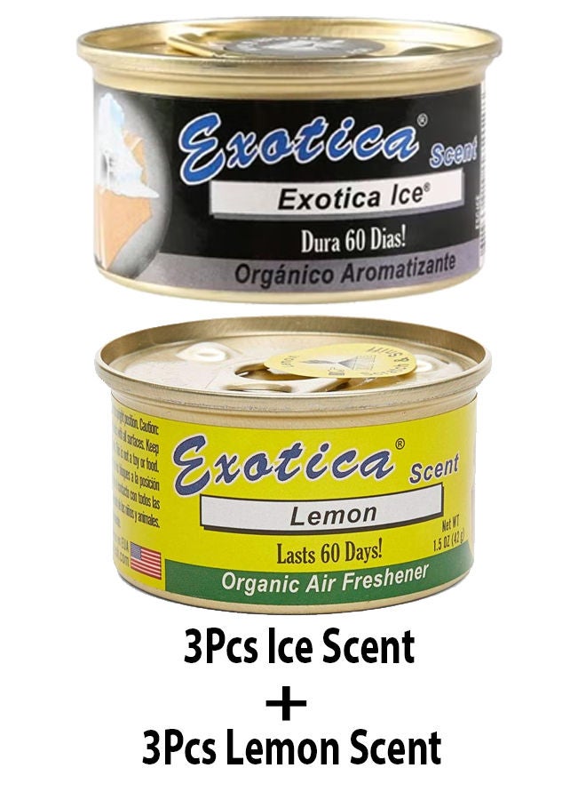 EXOTICA Organic Air Freshener Value Pack 6 pcs, Ice Scent-3 and Lemon Scent-3 - Image 2